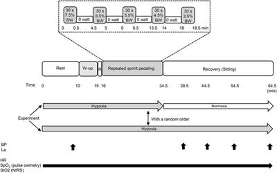 Comparisons Between Normobaric Normoxic and Hypoxic Recovery on Post-exercise Hemodynamics After Sprint Interval Cycling in Hypoxia